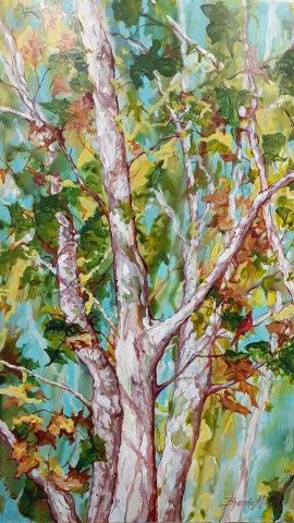 Summer-Sycamore